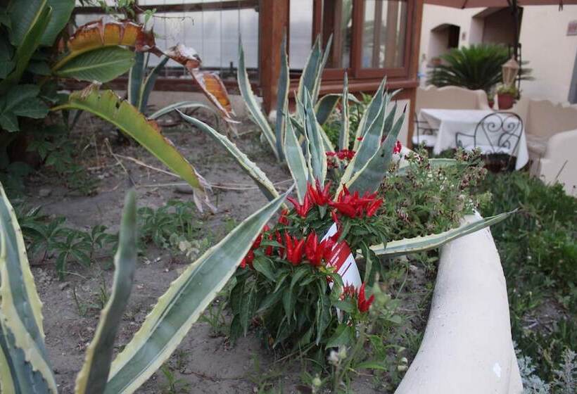 Отель La Filadelfia