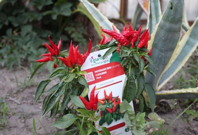 Отель La Filadelfia