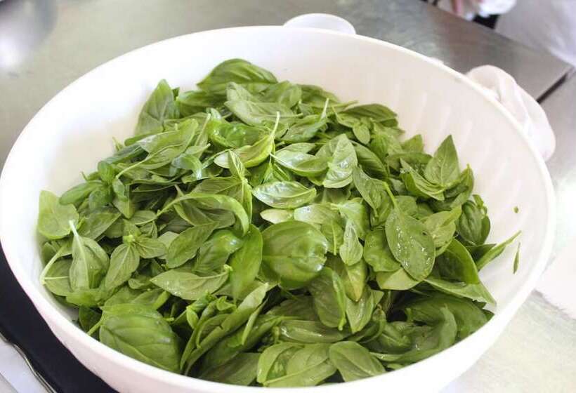 Отель La Filadelfia