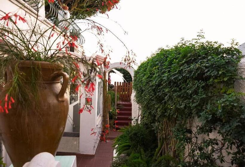 هتل La Reginella Capri