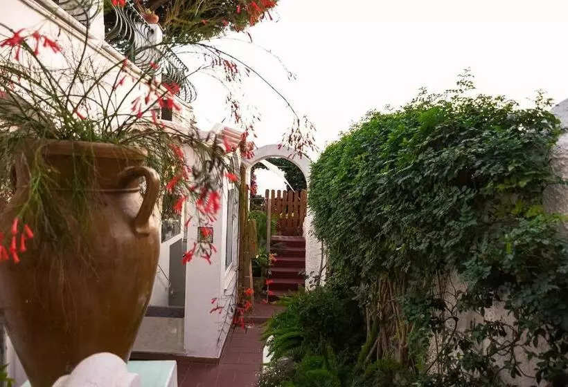 هتل La Reginella Capri