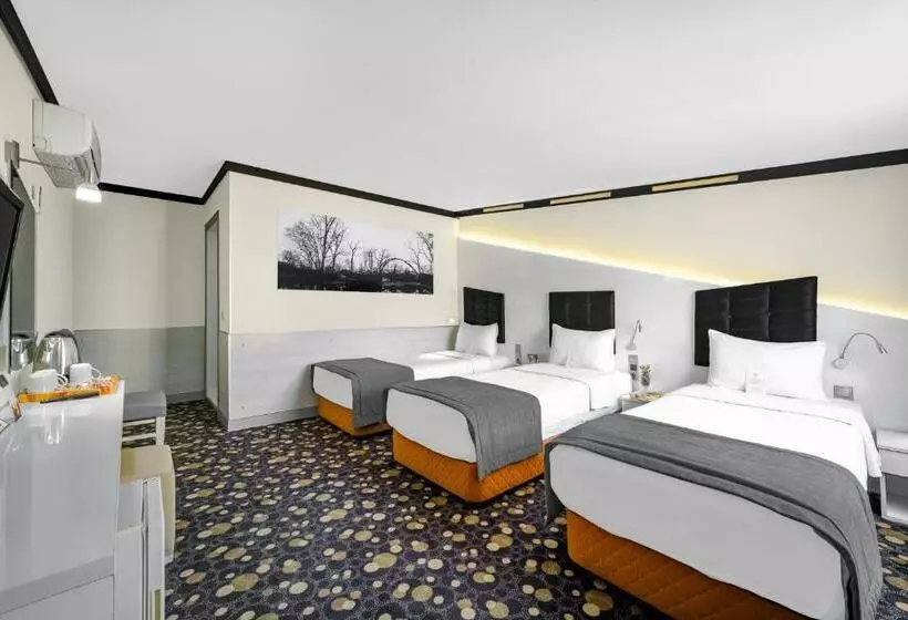 هتل Oglakcioglu Park Boutique