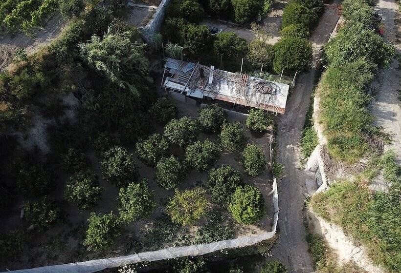 בית מלון כפרי Punta Chiarito Resort