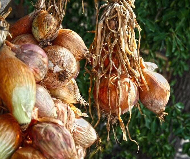 בית מלון כפרי Punta Chiarito Resort