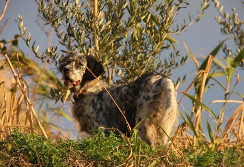 בית מלון כפרי Punta Chiarito Resort