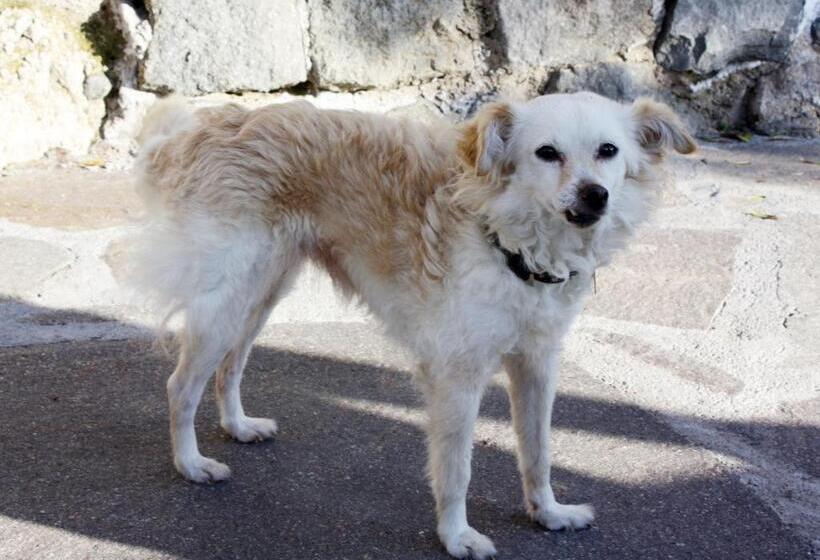 בית מלון כפרי Punta Chiarito Resort