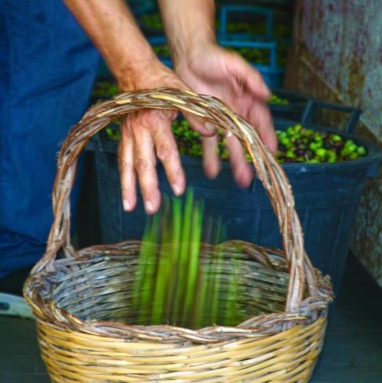 בית מלון כפרי Punta Chiarito Resort