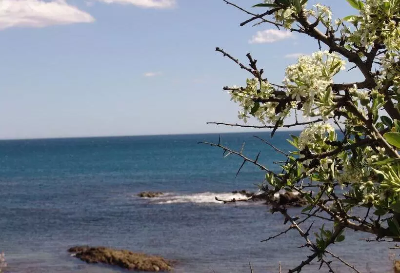 Отель Villaggio Porto Corallo