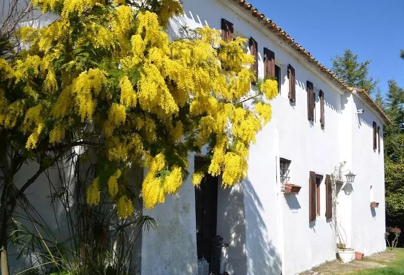 Ca Bianca Country House In Montefiore Conca