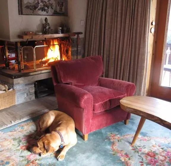 Arche De Noé B&b