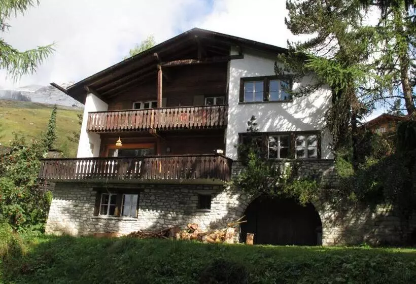 Arche De Noé B&b