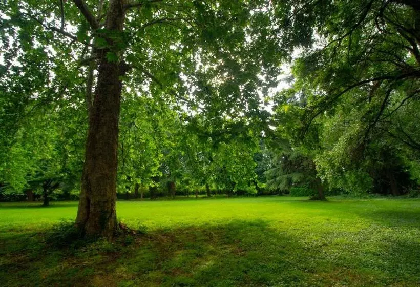 B & B Villa Dell’usignolo