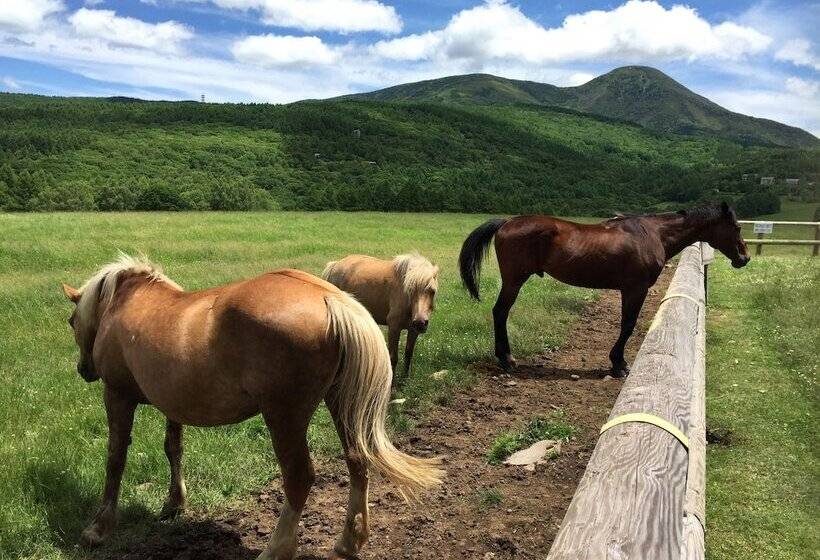 Hotell Minshuku Suzuransou