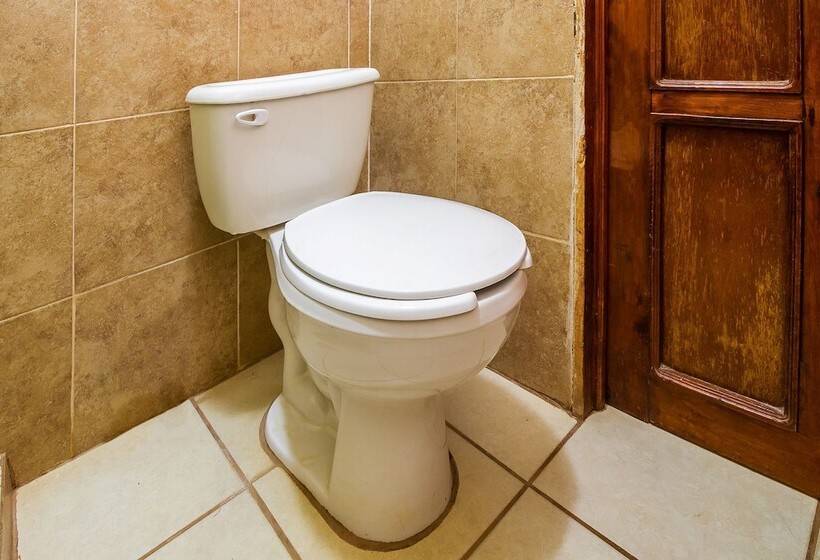 교외 호텔 Hacienda Coyotes