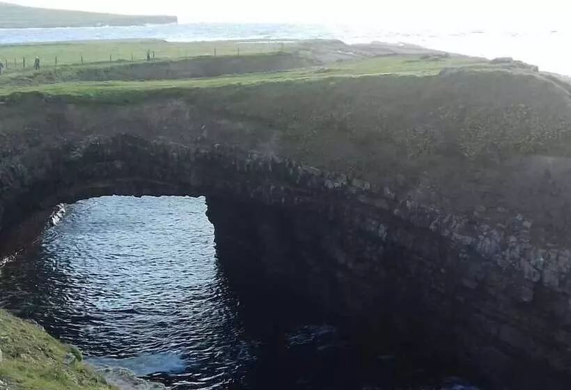 ホテル Shannon Estuary Glamping