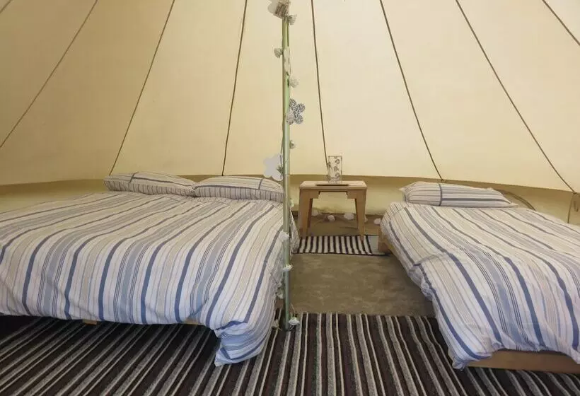 ホテル Shannon Estuary Glamping