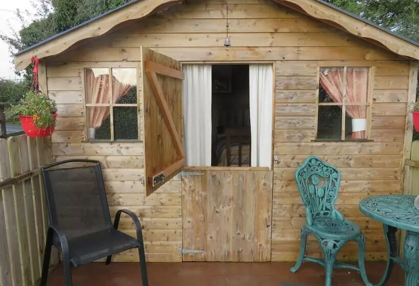 ホテル Shannon Estuary Glamping