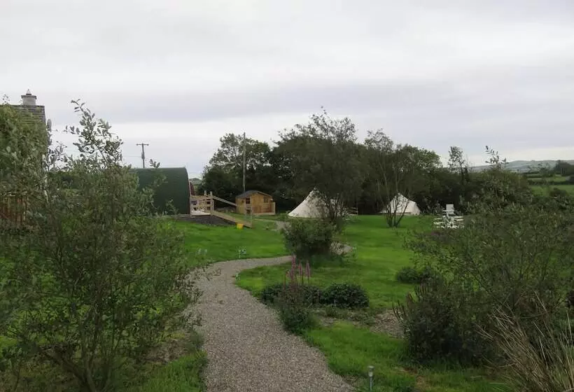 ホテル Shannon Estuary Glamping