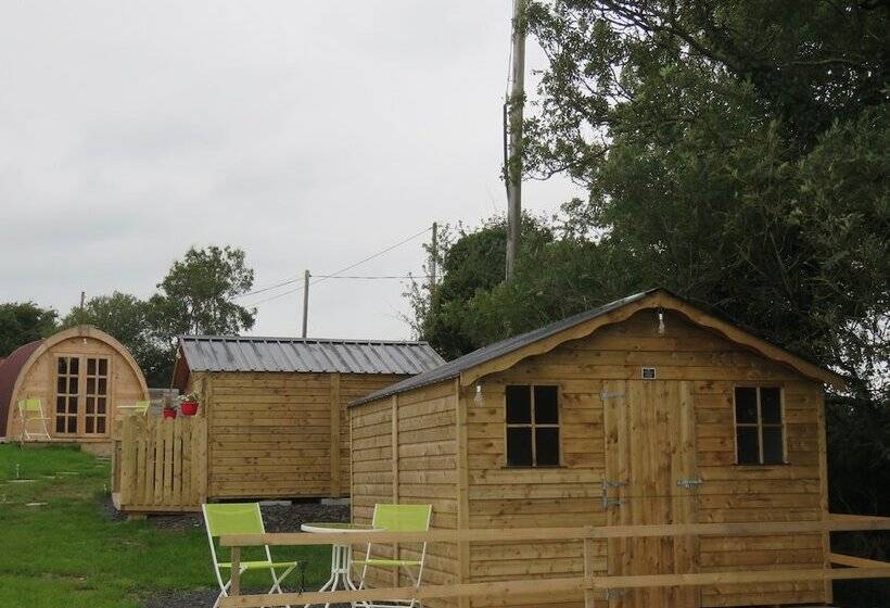فندق Shannon Estuary Glamping