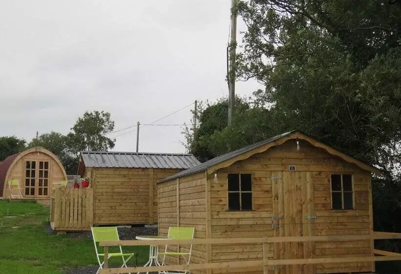 ホテル Shannon Estuary Glamping