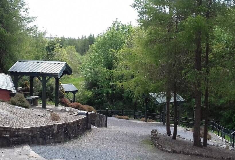 فندق Shannon Estuary Glamping