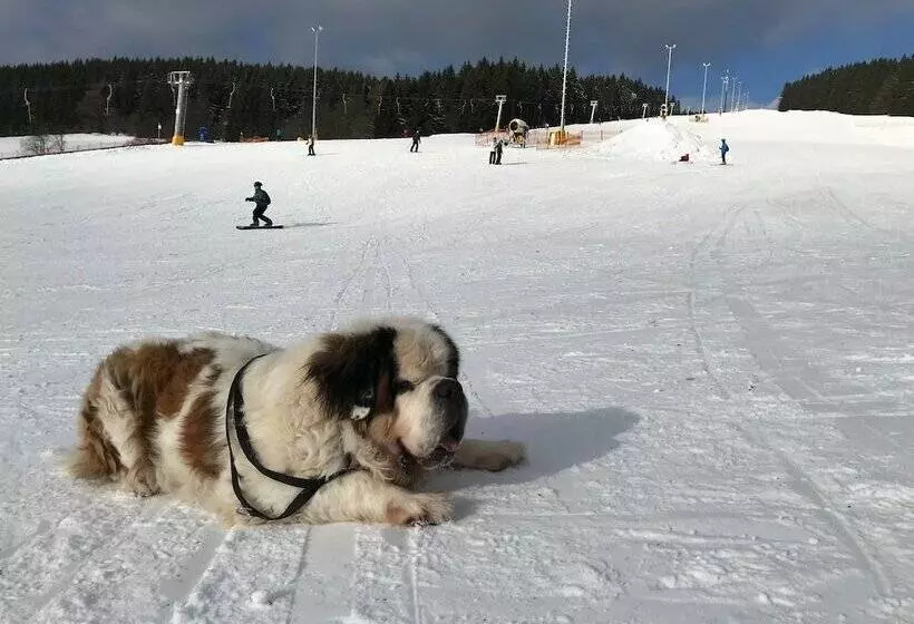 Majatalo Ferienwohnung Reifberg