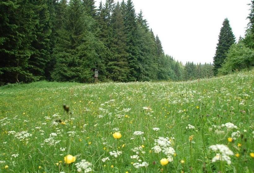 Pensjonat Ferienwohnung Reifberg