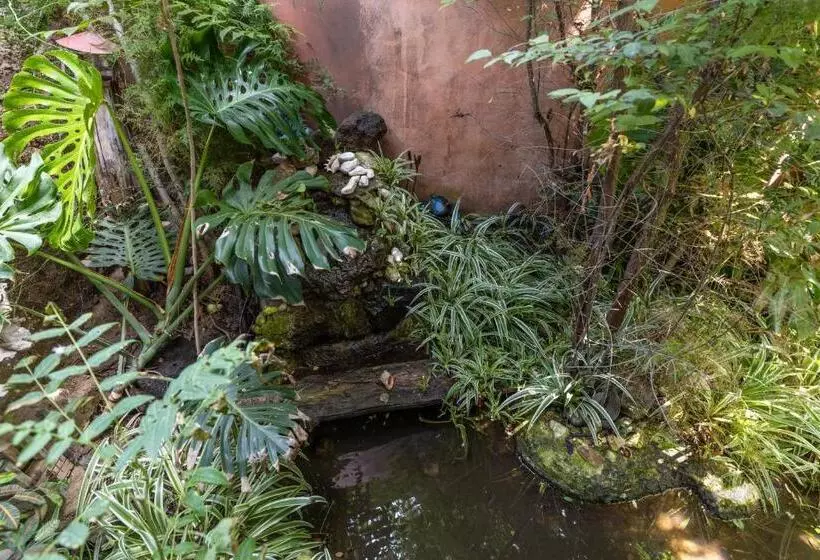 تختخواب و صبحانه Il Giardino Di Chiara