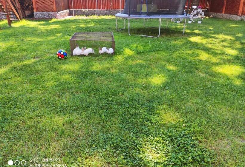 پانسیون Casa Marinca