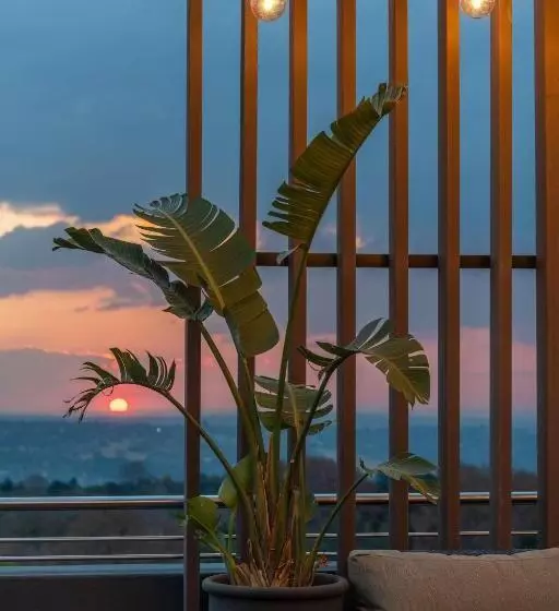 Radisson Red Hotel Johannesburg Rosebank