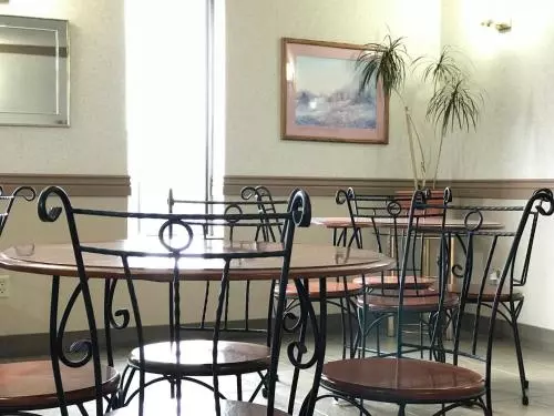 Hotelli Stay Inn Burlington