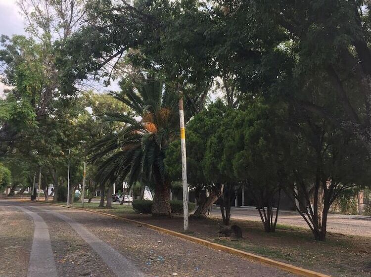 پانسیون Casa Internacional Querétaro
