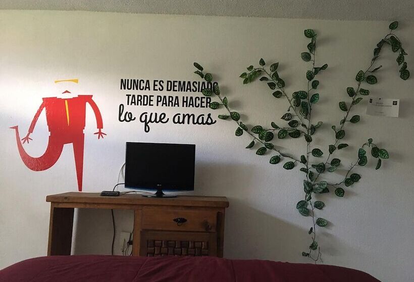 پانسیون Casa Internacional Querétaro