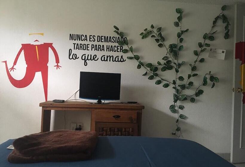 پانسیون Casa Internacional Querétaro