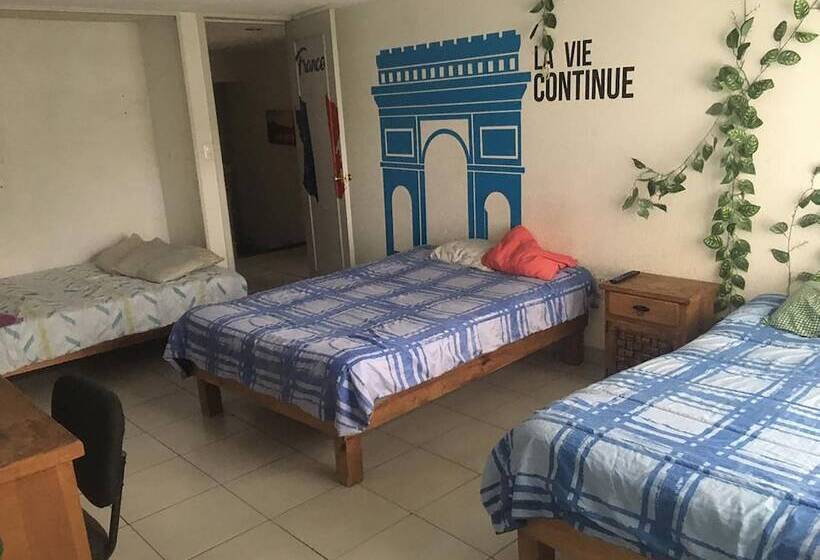 پانسیون Casa Internacional Querétaro