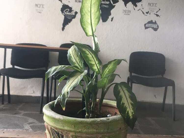 پانسیون Casa Internacional Querétaro