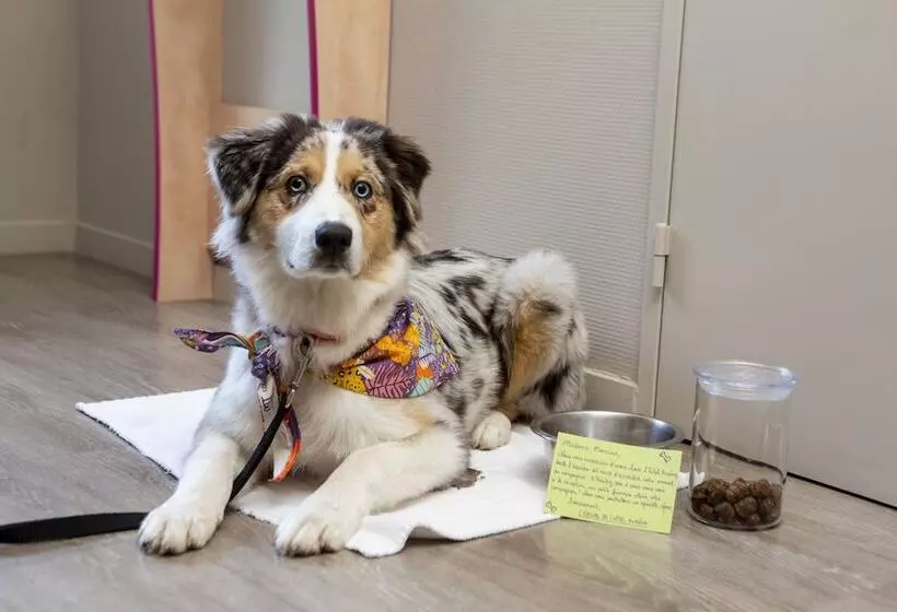 B&b Hotel Aurillac Le Lioran