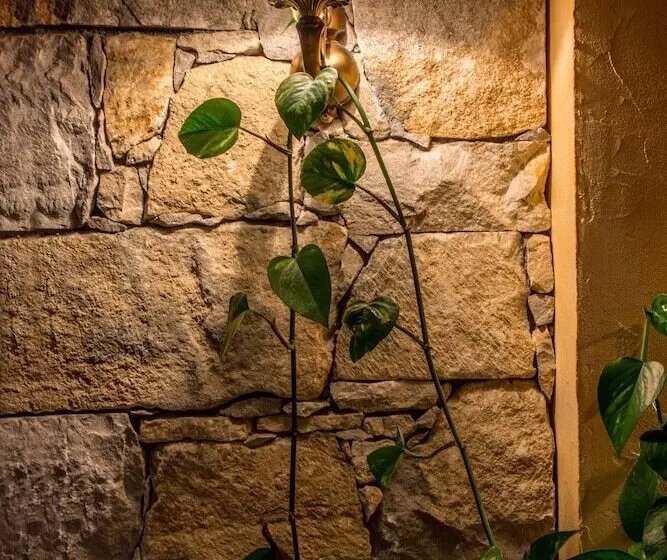 ホテル Les Cretes Blanches