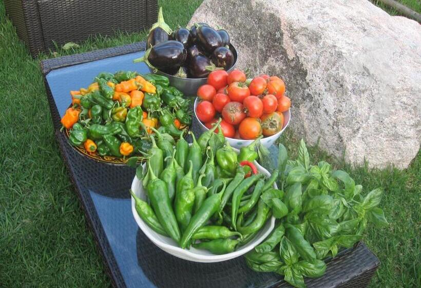 فندق Les Jardins De Mathieu