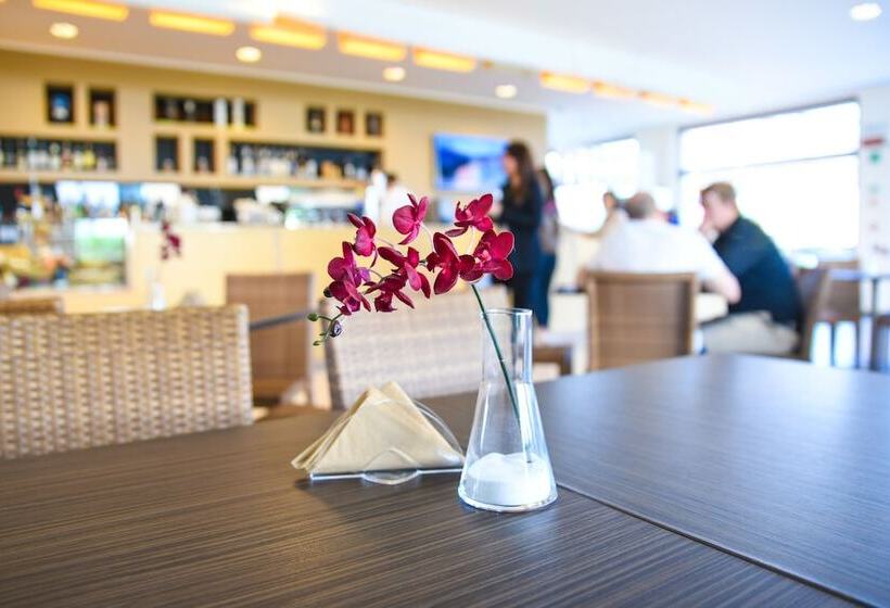 Th Lazise   Hotel Parchi Del Garda