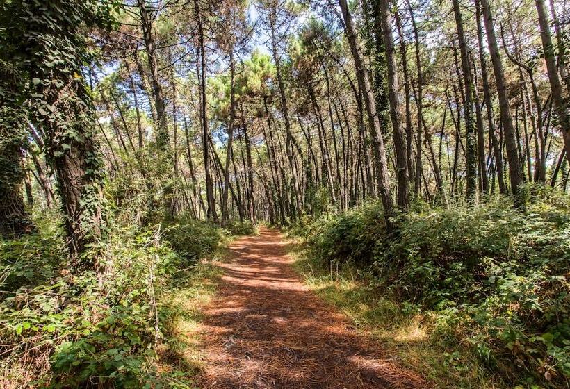 هتل Club Del Sole Marina Romea Easy Camping Village