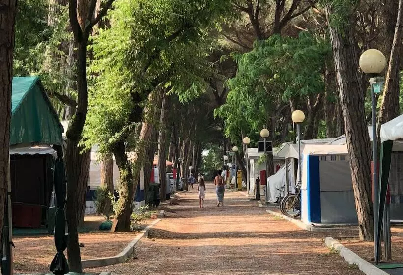هتل Club Del Sole Marina Romea Easy Camping Village