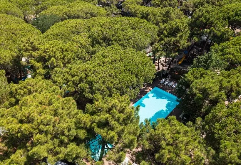 هتل Club Del Sole Marina Romea Easy Camping Village