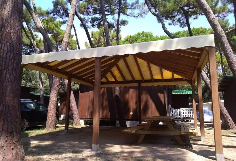 هتل Club Del Sole Marina Romea Easy Camping Village