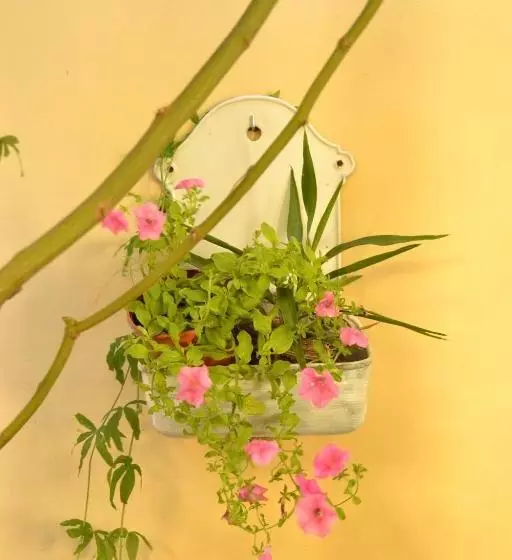 تختخواب و صبحانه Casa Pucci