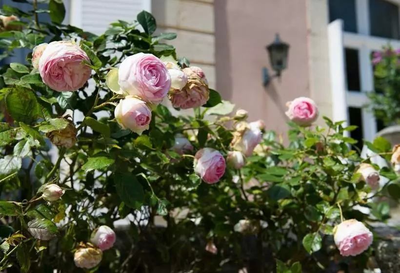 Отель Chateau De Sissi