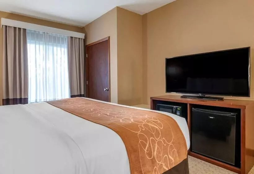 هتل Comfort Suites Orlando Airport