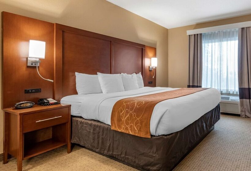 בית מלון כפרי Comfort Suites Orlando Airport