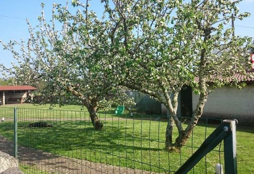 Сельский отель Rustico Casa Do Vento