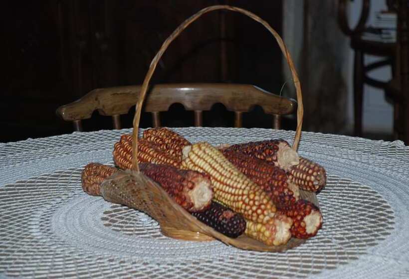 Сельский отель Rustico Casa Do Vento